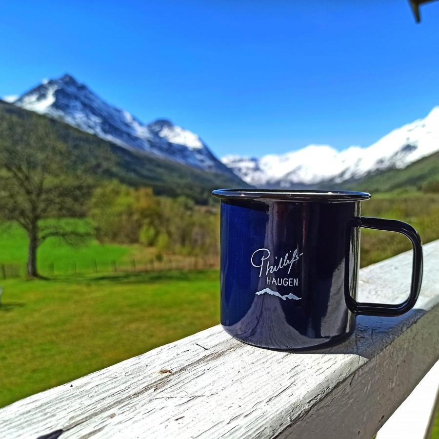 Phillipshaugen Lodge Oksendalsora Екстериор снимка